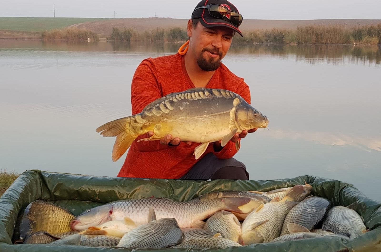 Echipamentul meu de feeder din 2019.